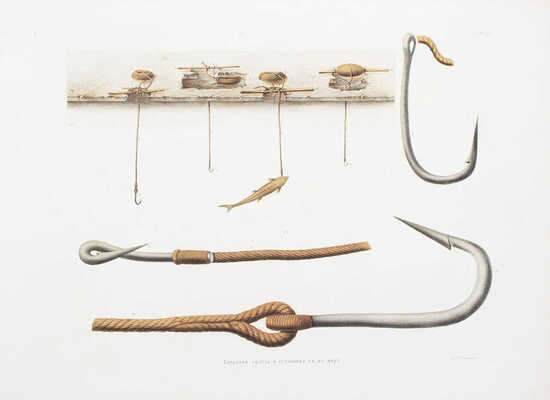 Исследования о состоянии рыболовства в России. Т. 4: Рисунки к Исследованию каспийского рыболовства. СПб.: Изданы Министерством государственных имуществ, 1861.